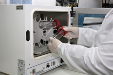 Neurogenetics Department